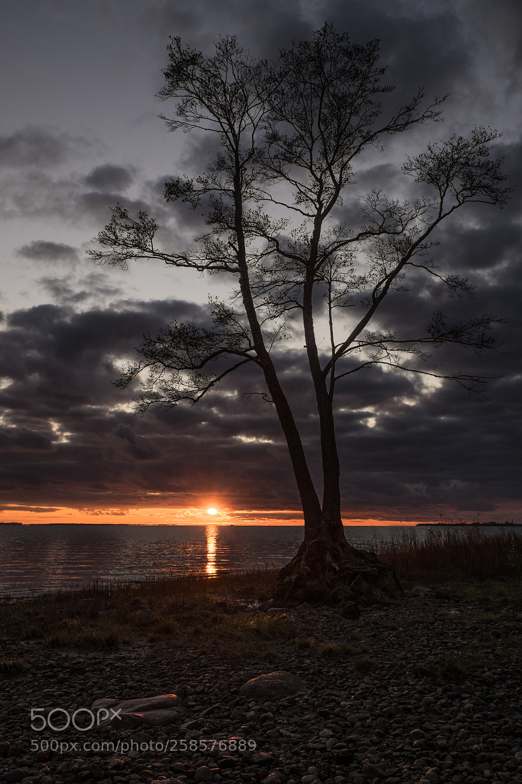 Fujifilm X-T1 sample photo. The gulf of finland photography
