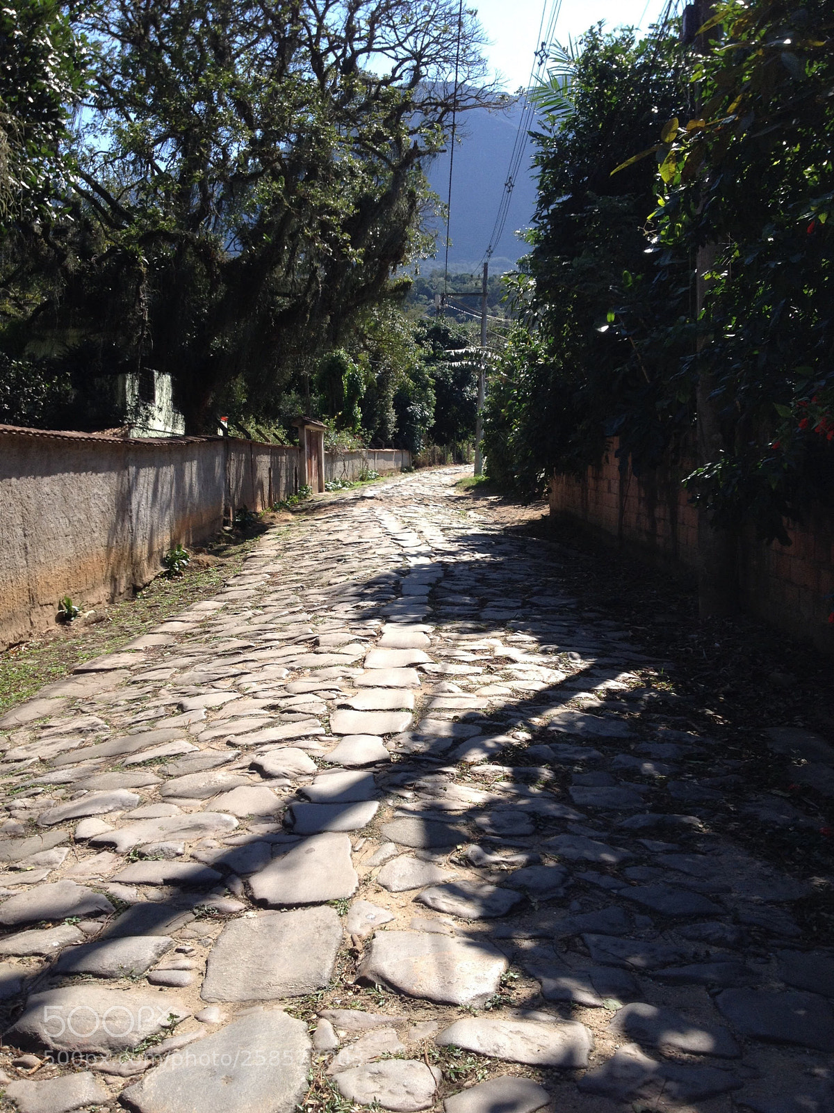 Apple iPhone 4S sample photo. Caminho do ouro photography