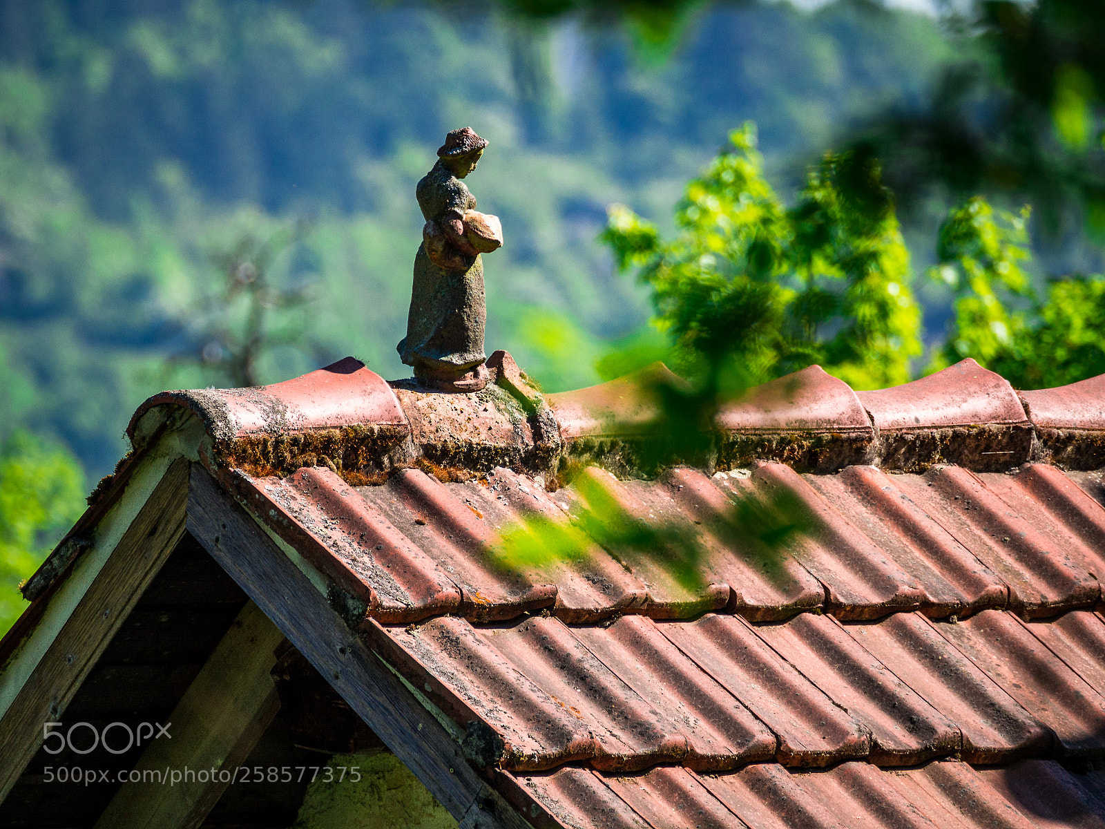 Olympus OM-D E-M10 sample photo. Roof decoration photography