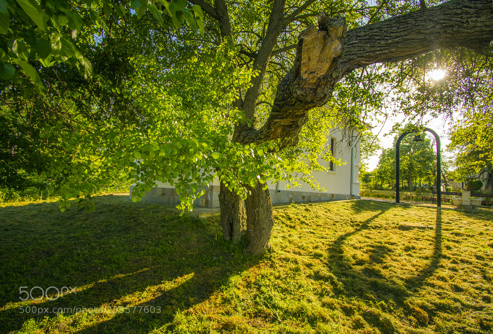 Nikon D5200 sample photo. Church bell shadow.jpg photography
