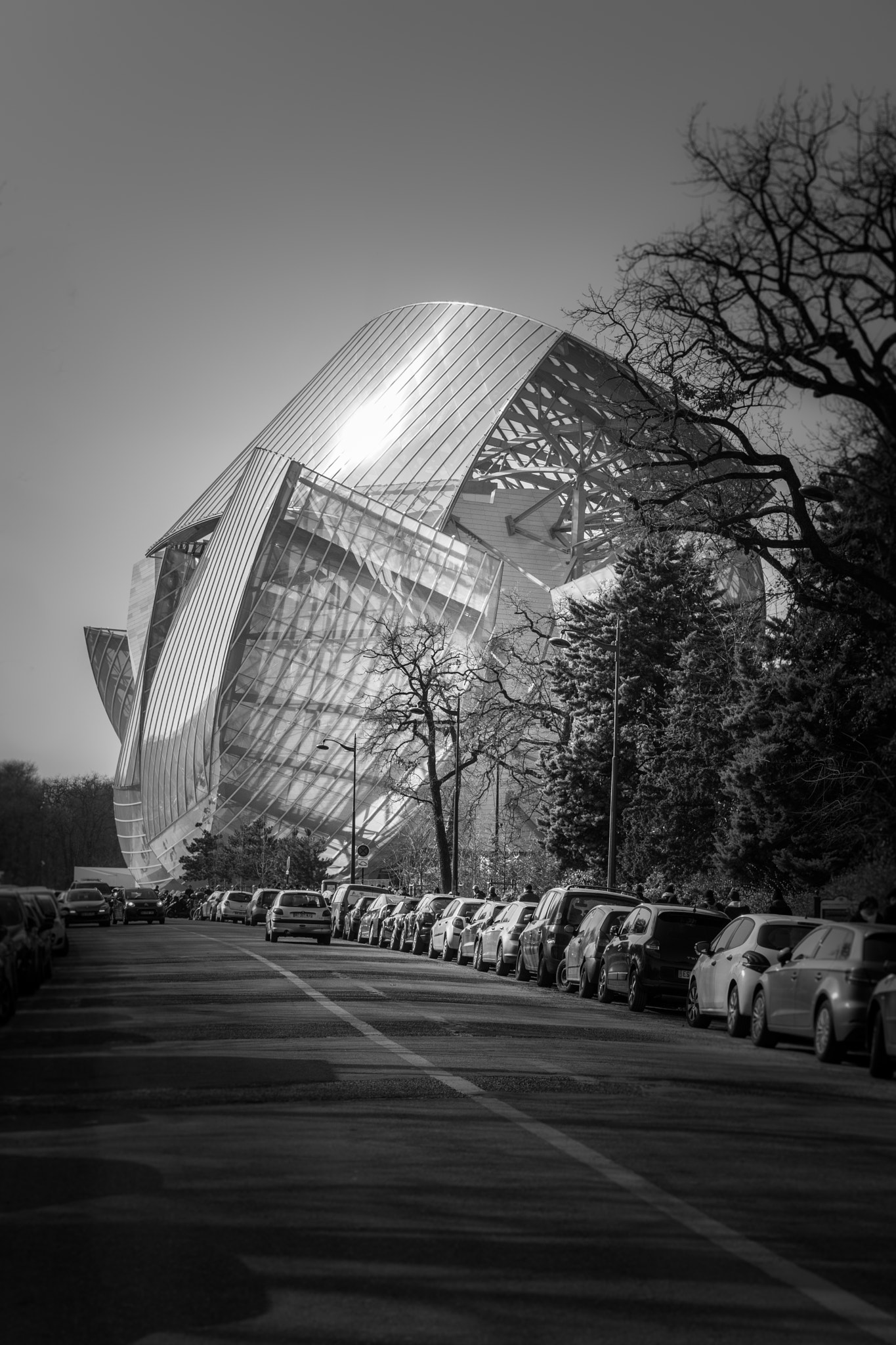 Leica SL (Typ 601) sample photo. Lo photography