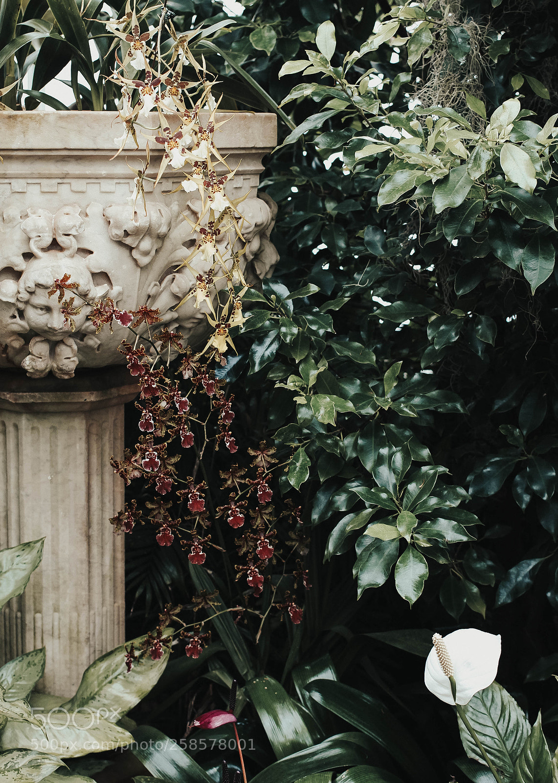 Canon EOS 7D sample photo. In the greenhouse photography