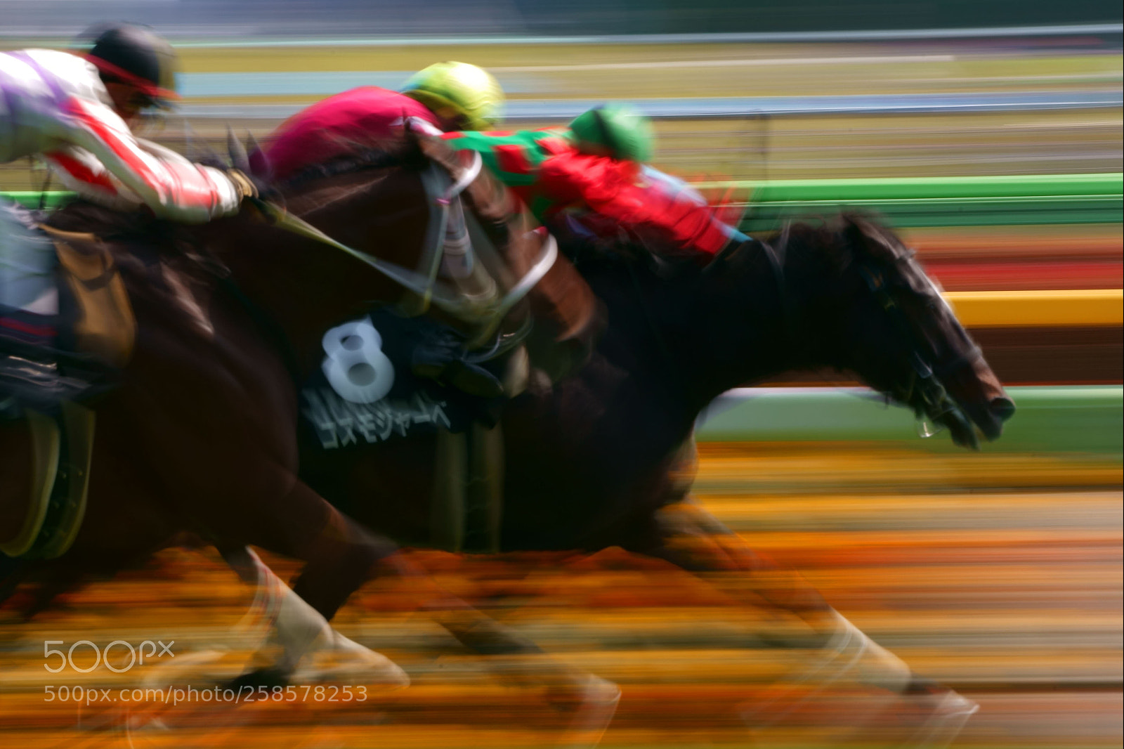 Sony a9 sample photo. Horse race photography