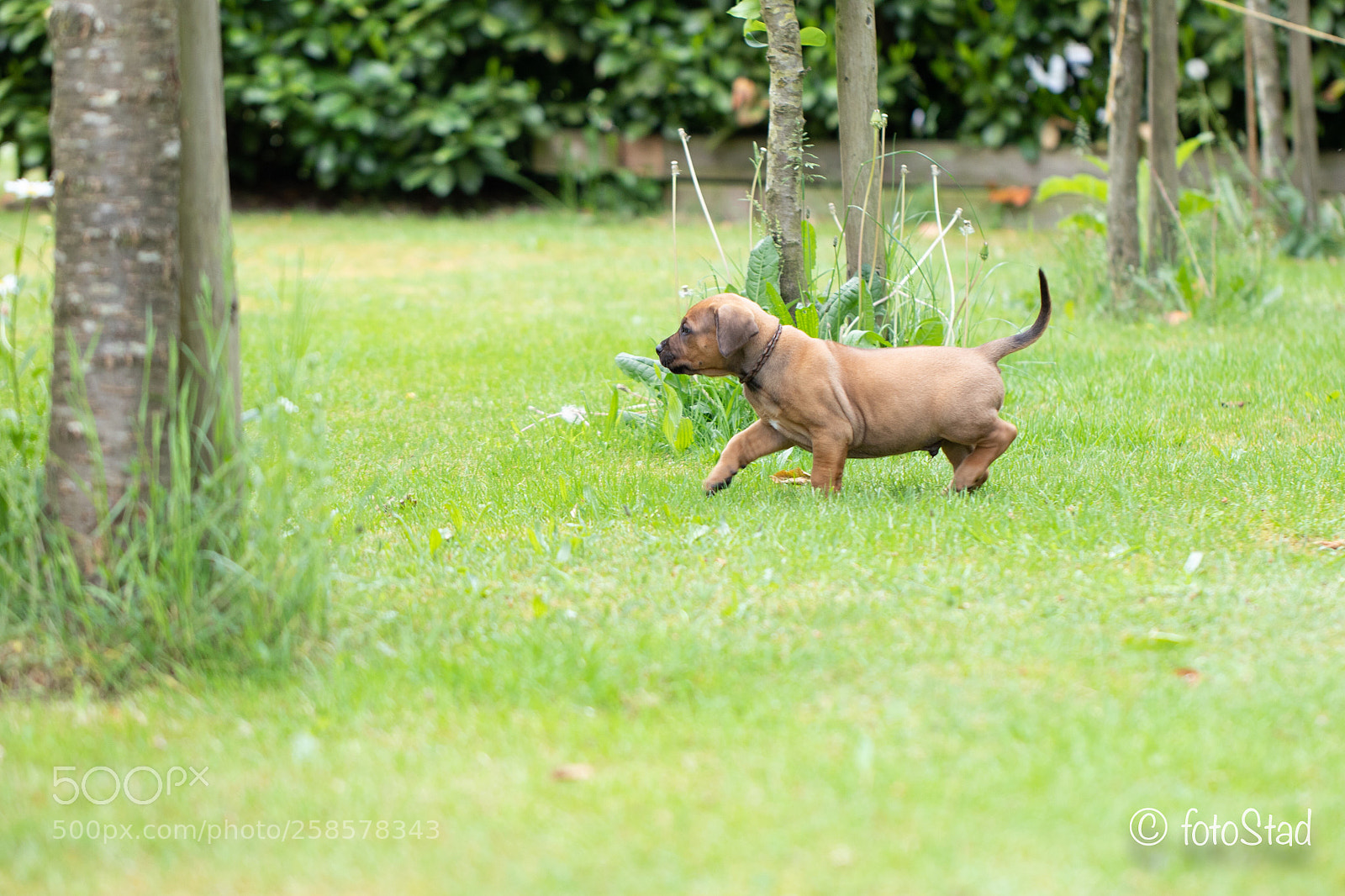 Canon EOS 6D Mark II sample photo. Little one photography