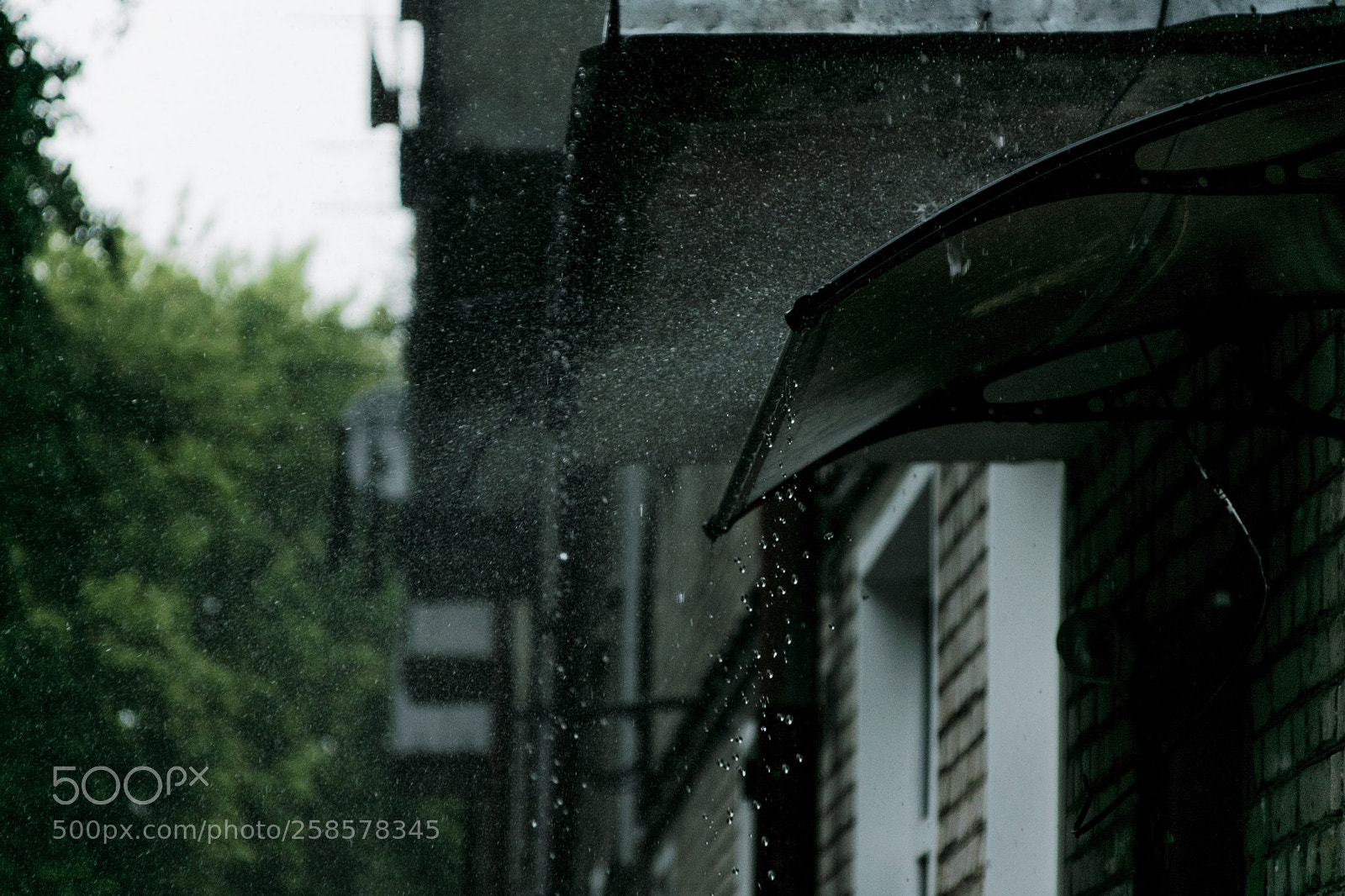 Nikon D3300 sample photo. Rainy moment photography