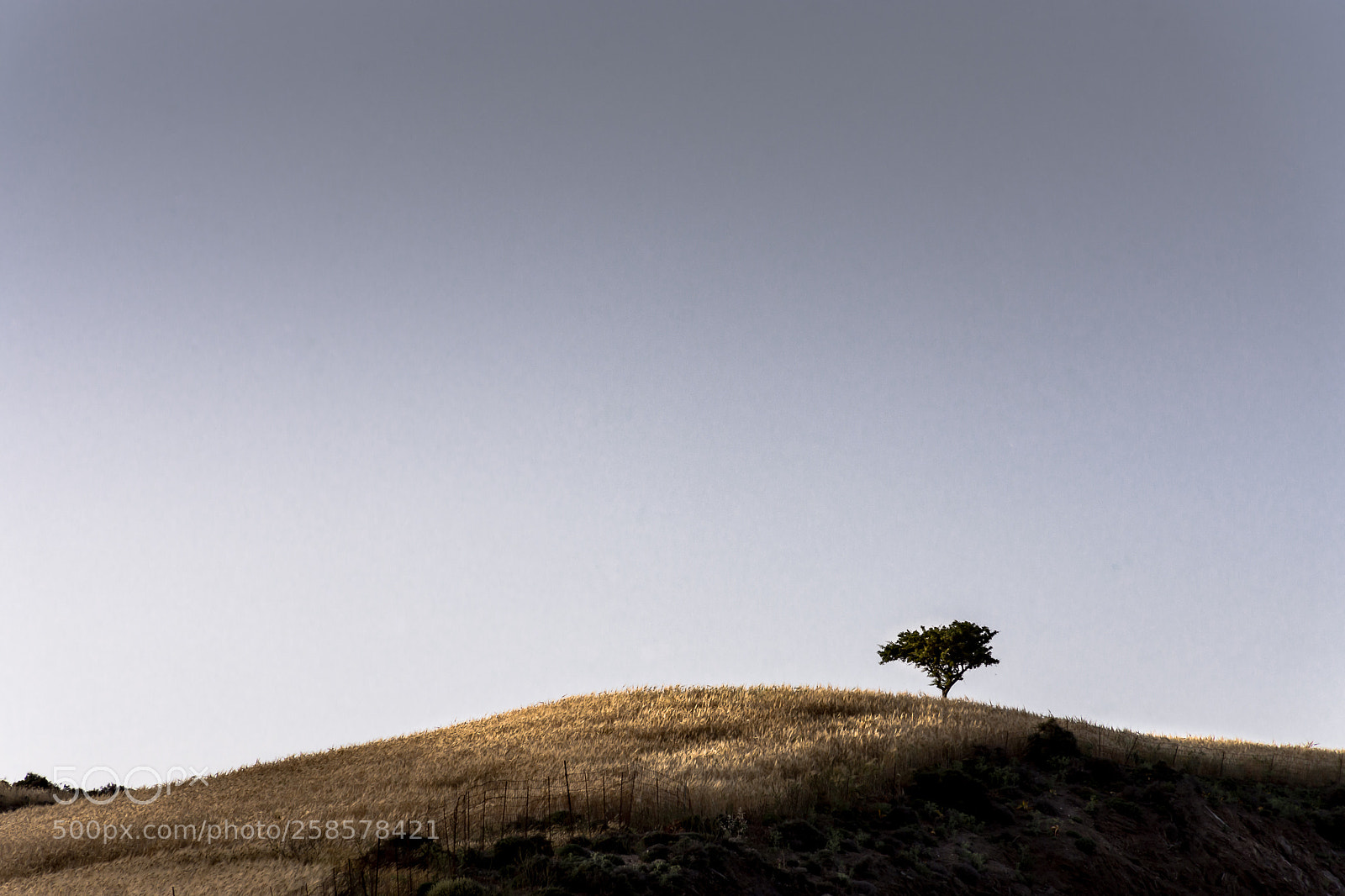Nikon D7200 sample photo. Loneliness 2 photography