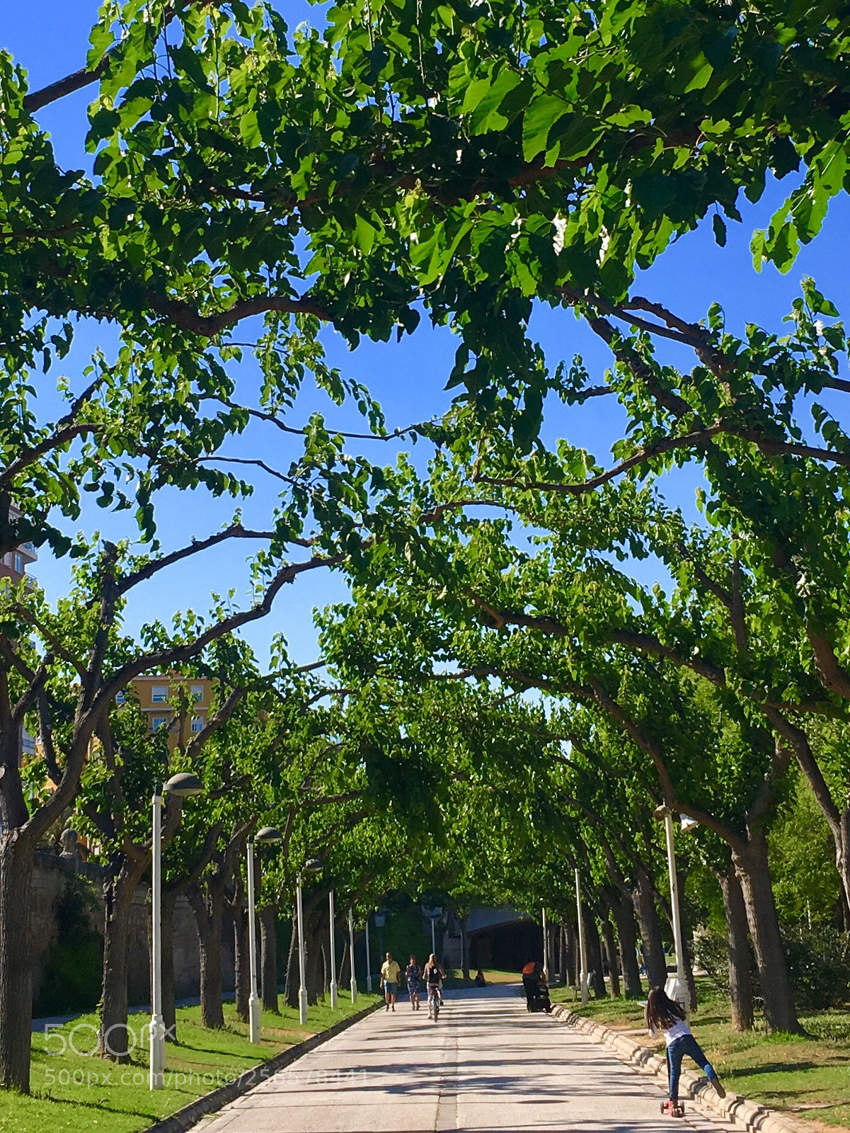 Apple iPhone SE sample photo. Untitled photography