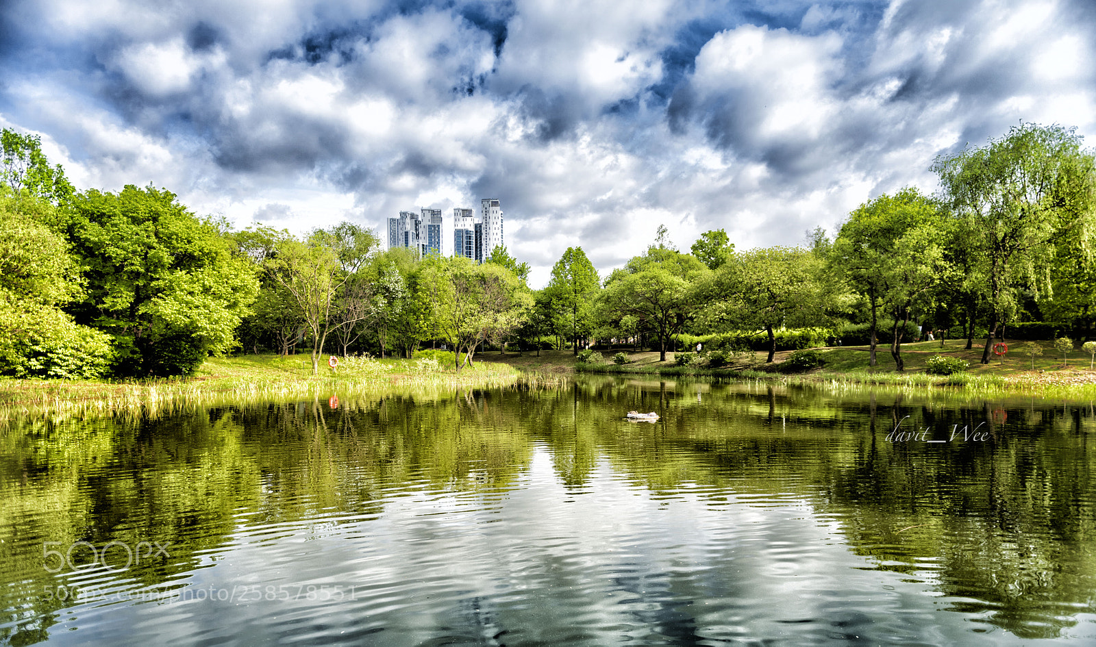 Nikon D810 sample photo. Seoul forest photography