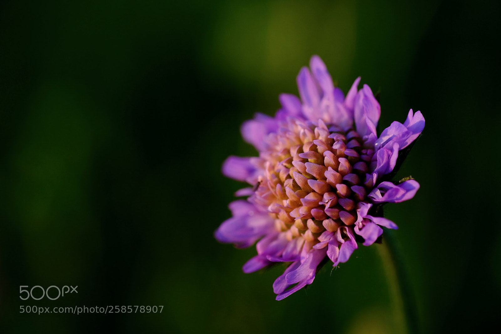 Fujifilm X-T2 sample photo. . photography