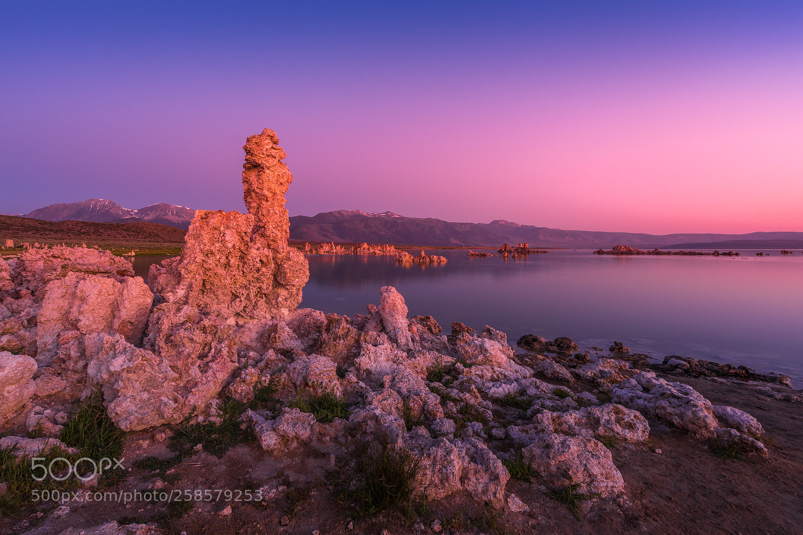 Nikon D810 sample photo. Oasis in a desert photography