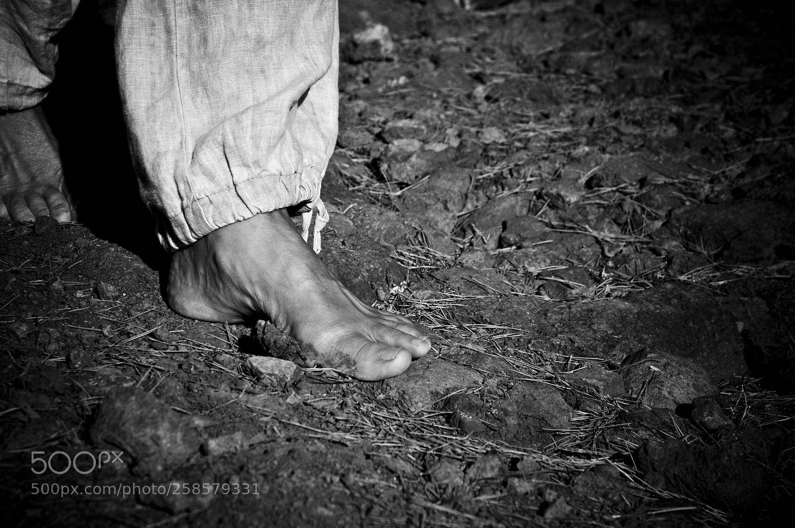 Nikon D90 sample photo. Untitled photography