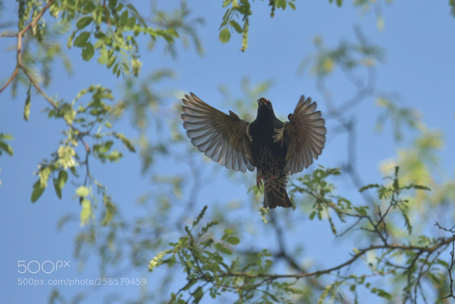 Nikon D810 sample photo. Untitled photography