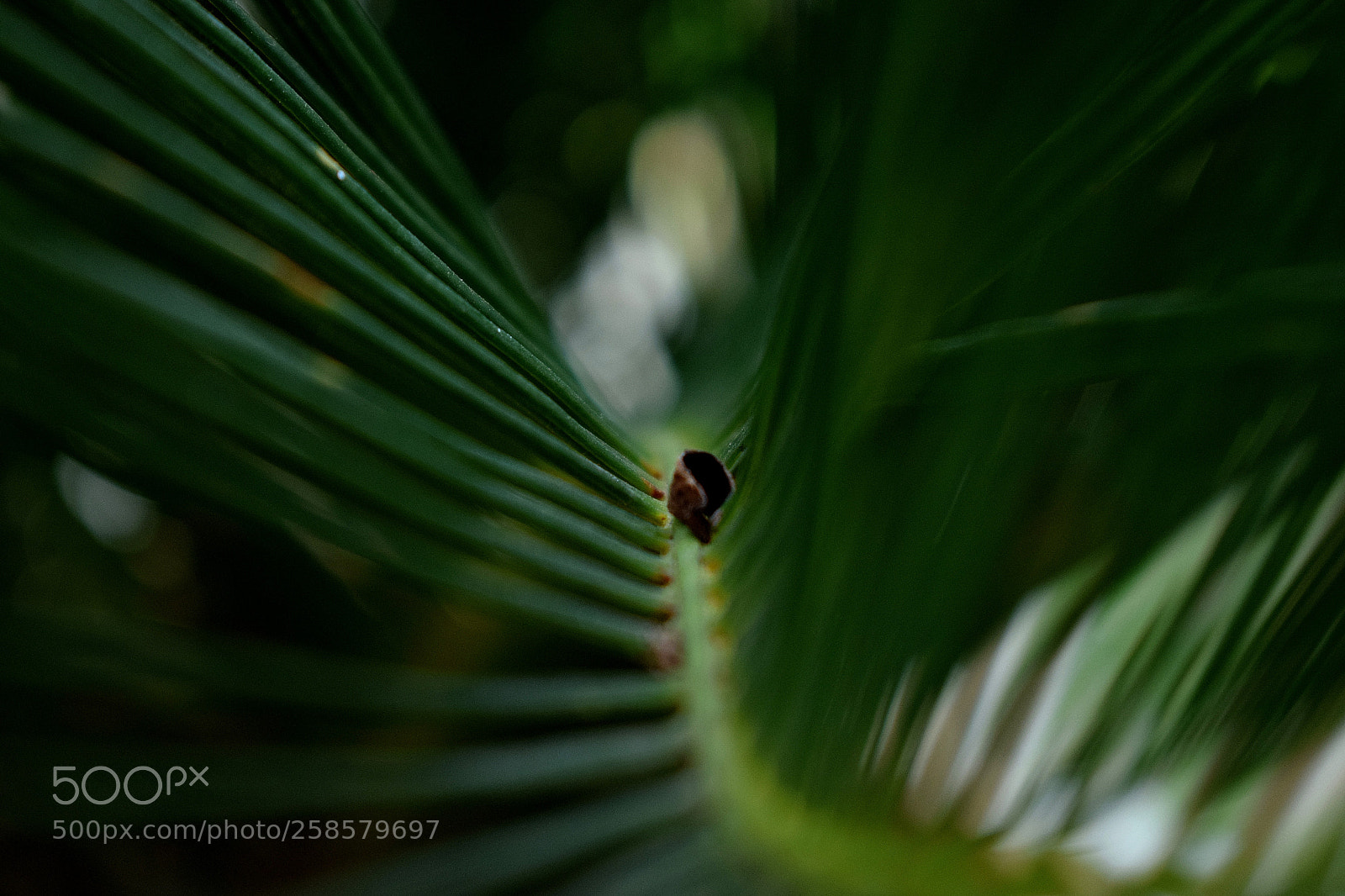 Nikon D3300 sample photo. Untitled photography