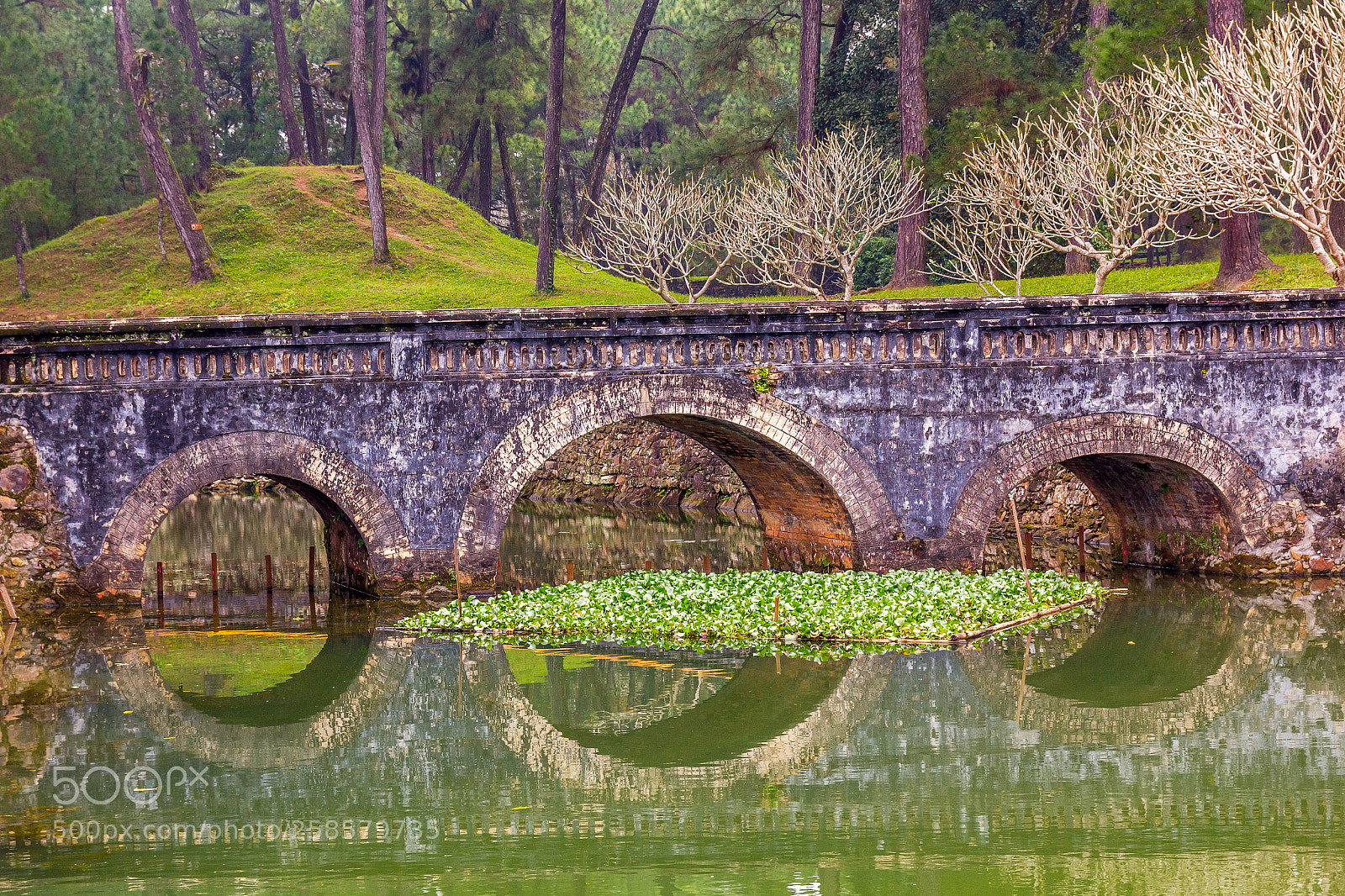Canon EOS 550D (EOS Rebel T2i / EOS Kiss X4) sample photo. Arch bridge photography