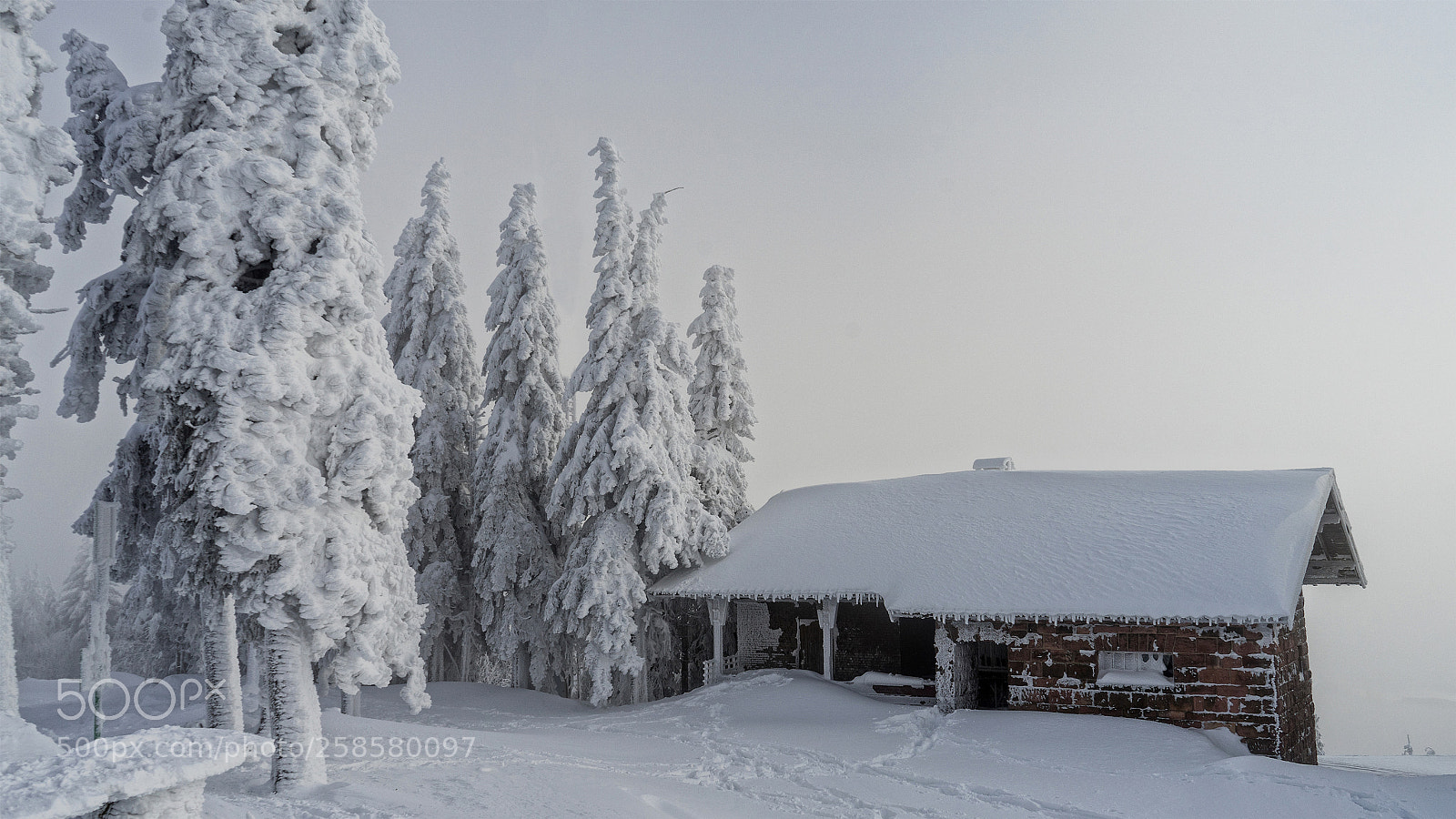 Sony a7 II sample photo. Snow photography