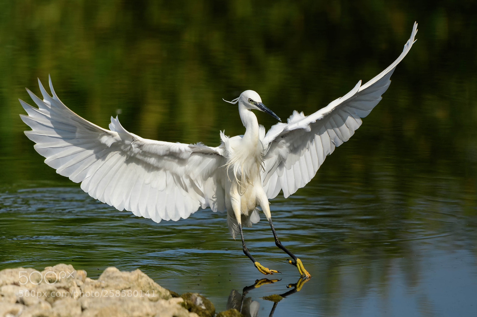 Nikon D500 sample photo. Edit photography