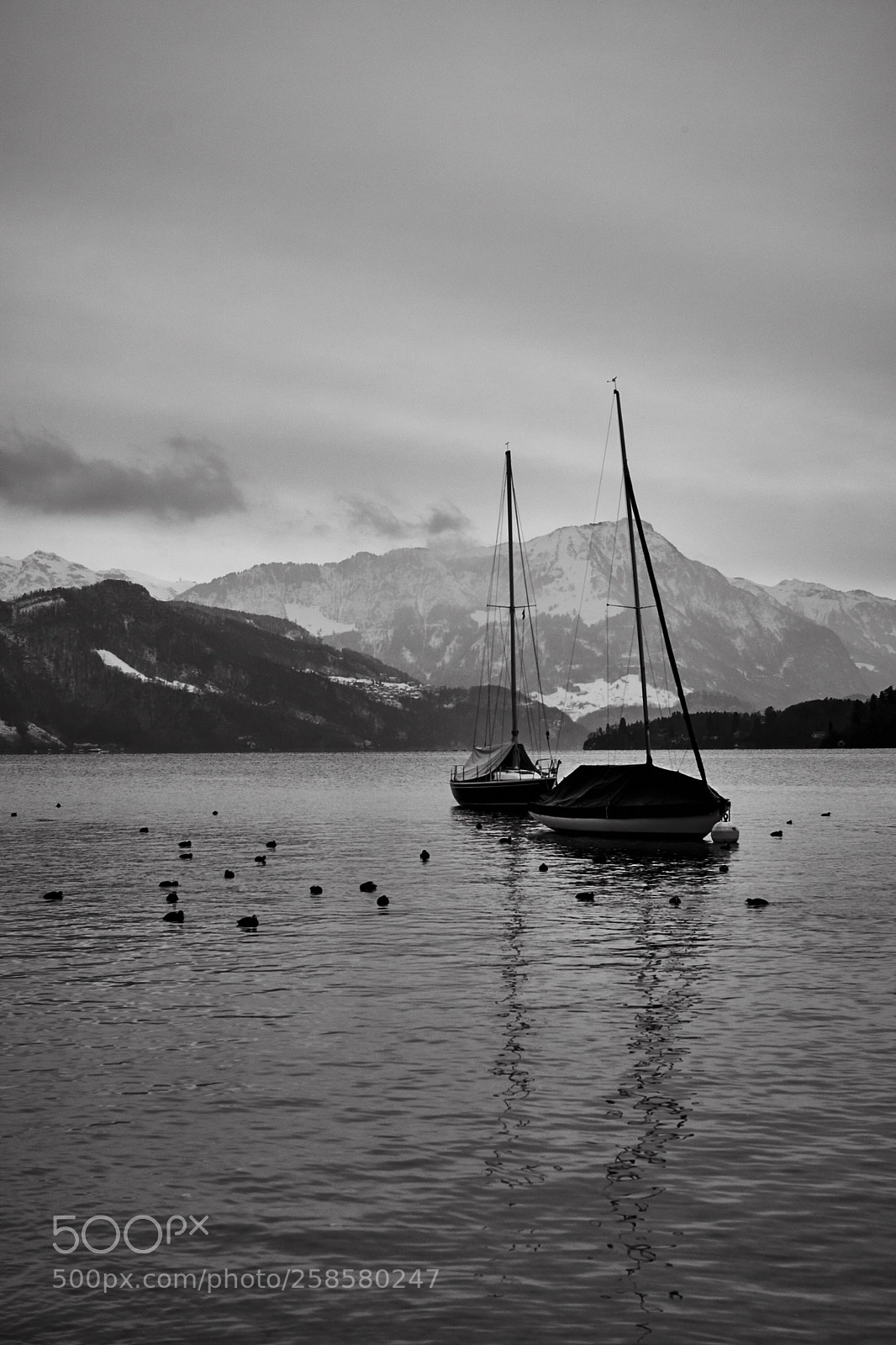 Fujifilm X-Pro2 sample photo. Vierwaldstätter  photography