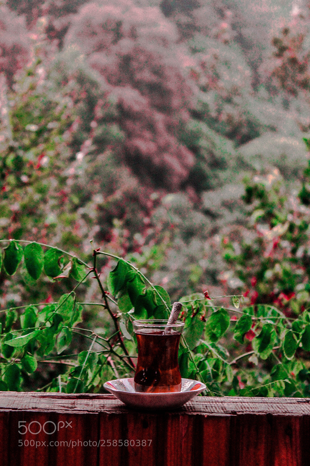 Canon EOS 1300D (EOS Rebel T6 / EOS Kiss X80) sample photo. Turkish tea photography