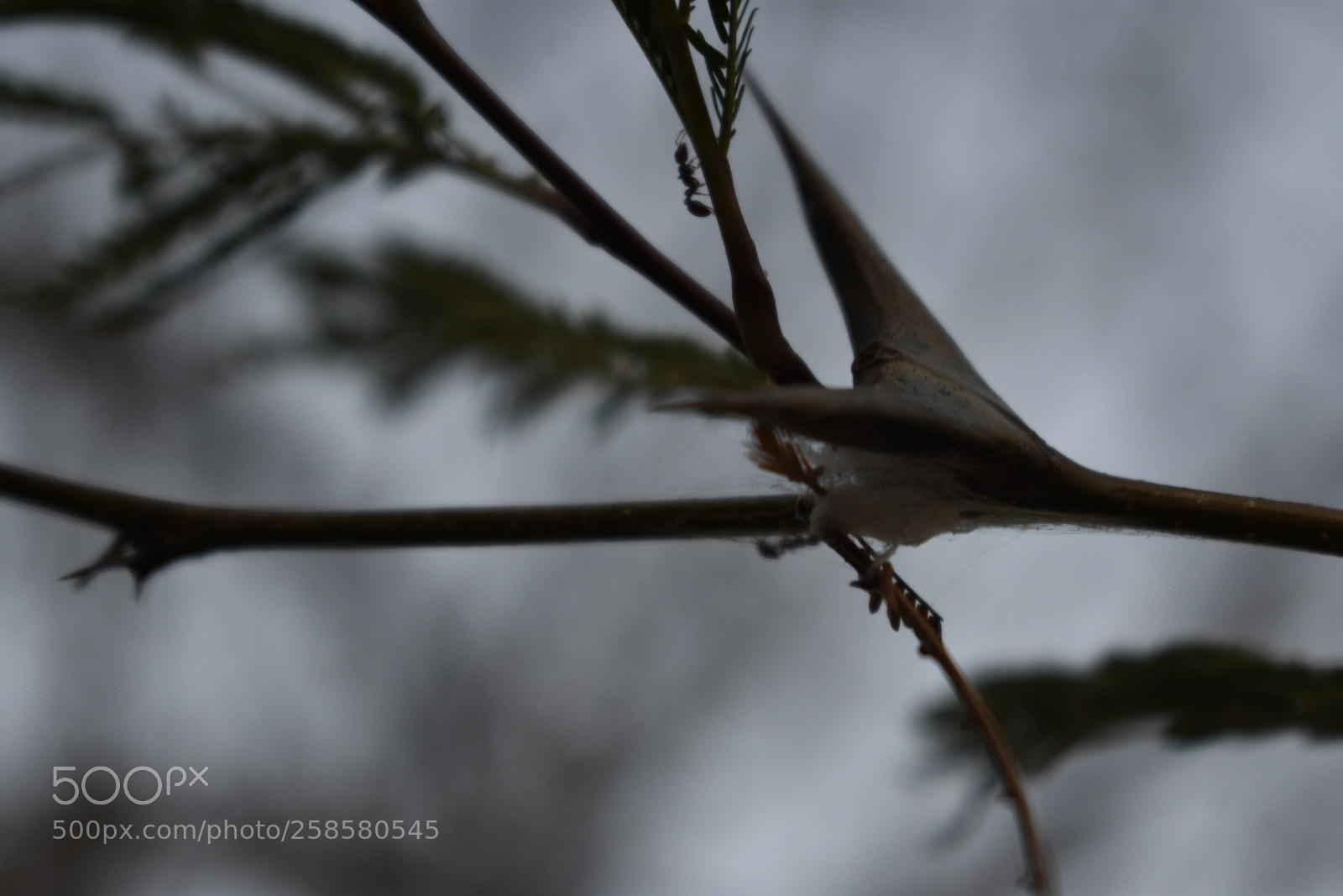 Nikon D3400 sample photo. Untitled photography