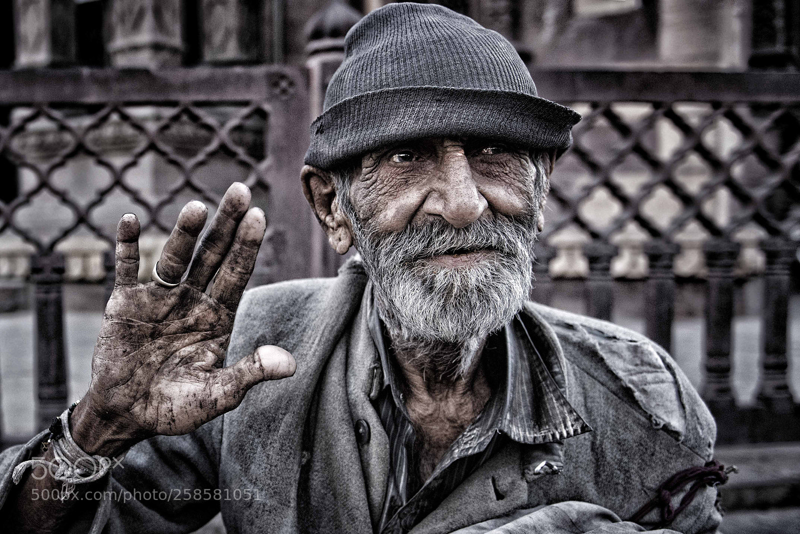 Nikon D810 sample photo. A greeting photography