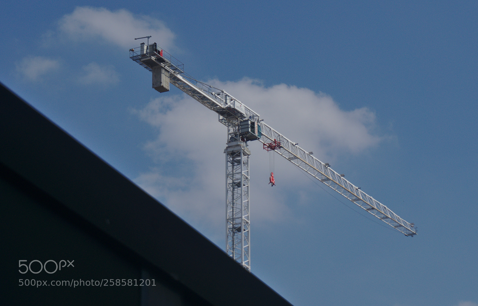 Sony a6000 sample photo. White crane photography