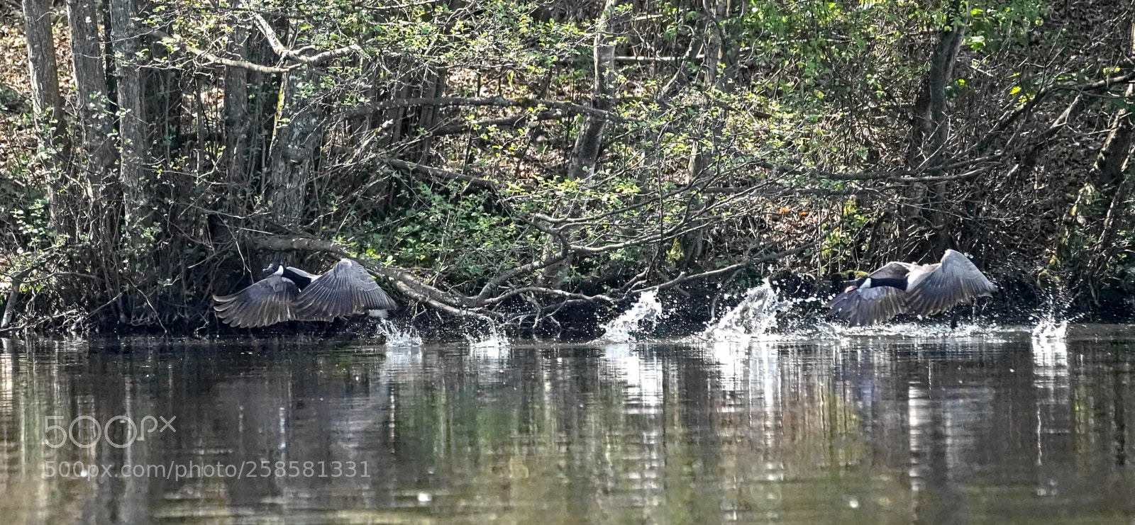 Sony a7R II sample photo. Couple formation maybe photography