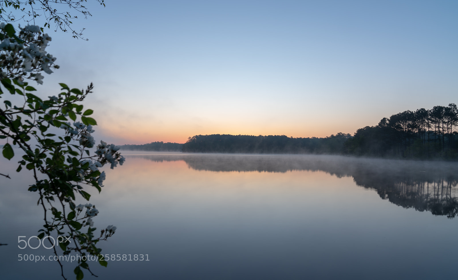 Sony a7R III sample photo. Harris lake sunrise 4 photography