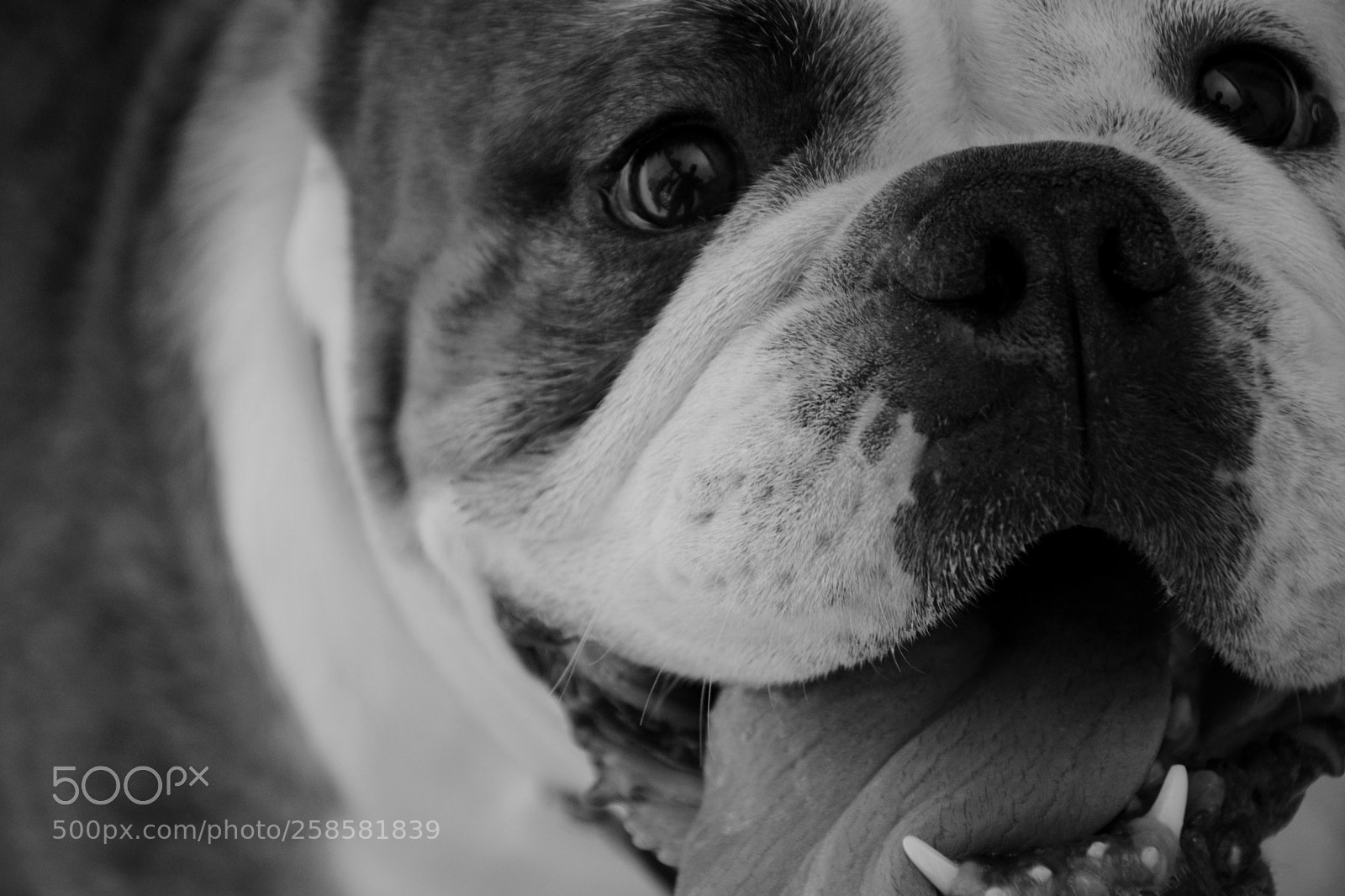 Nikon D7100 sample photo. Simply.... arya photography
