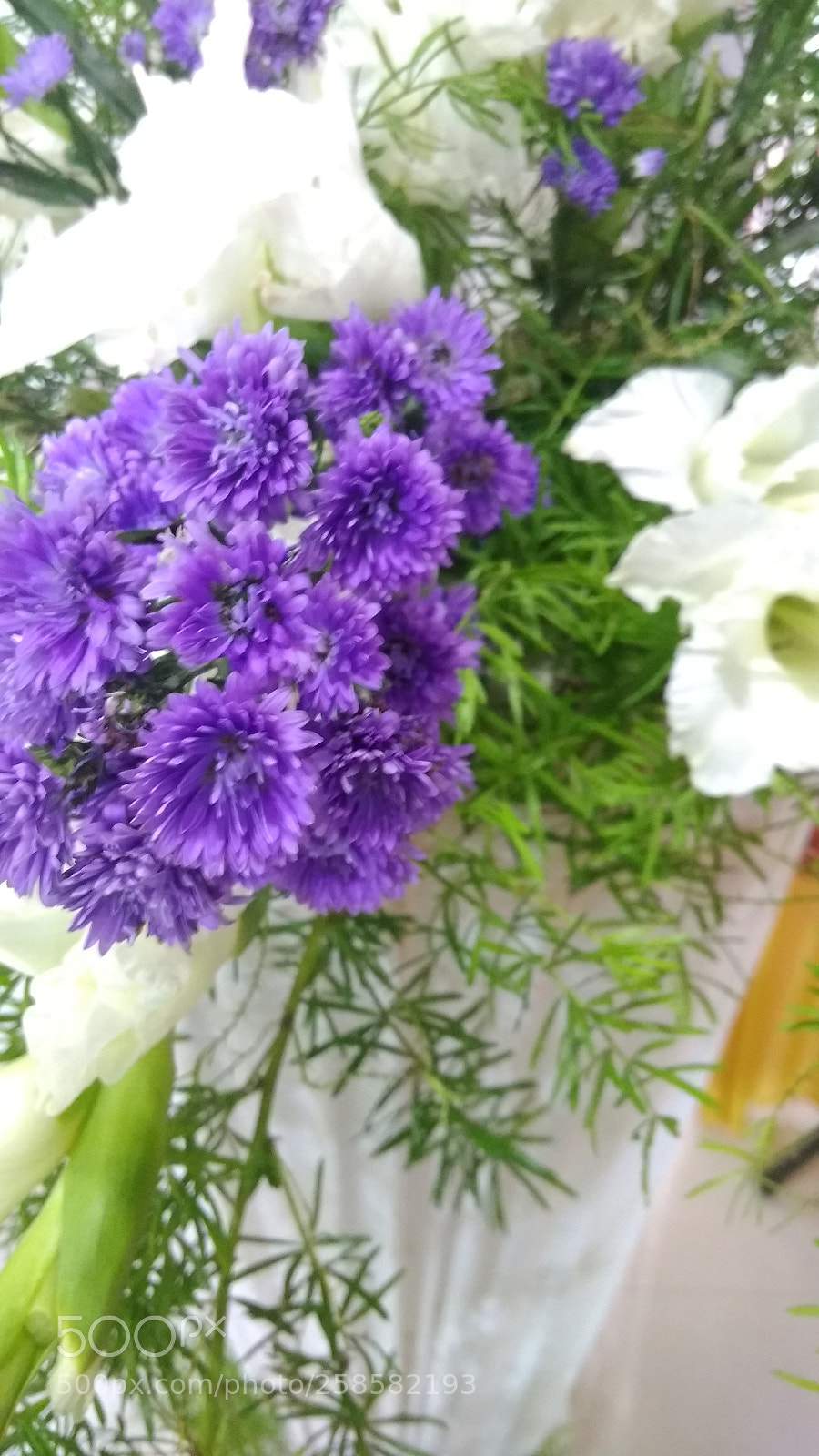 Xiaomi Redmi 4A sample photo. Untitled photography