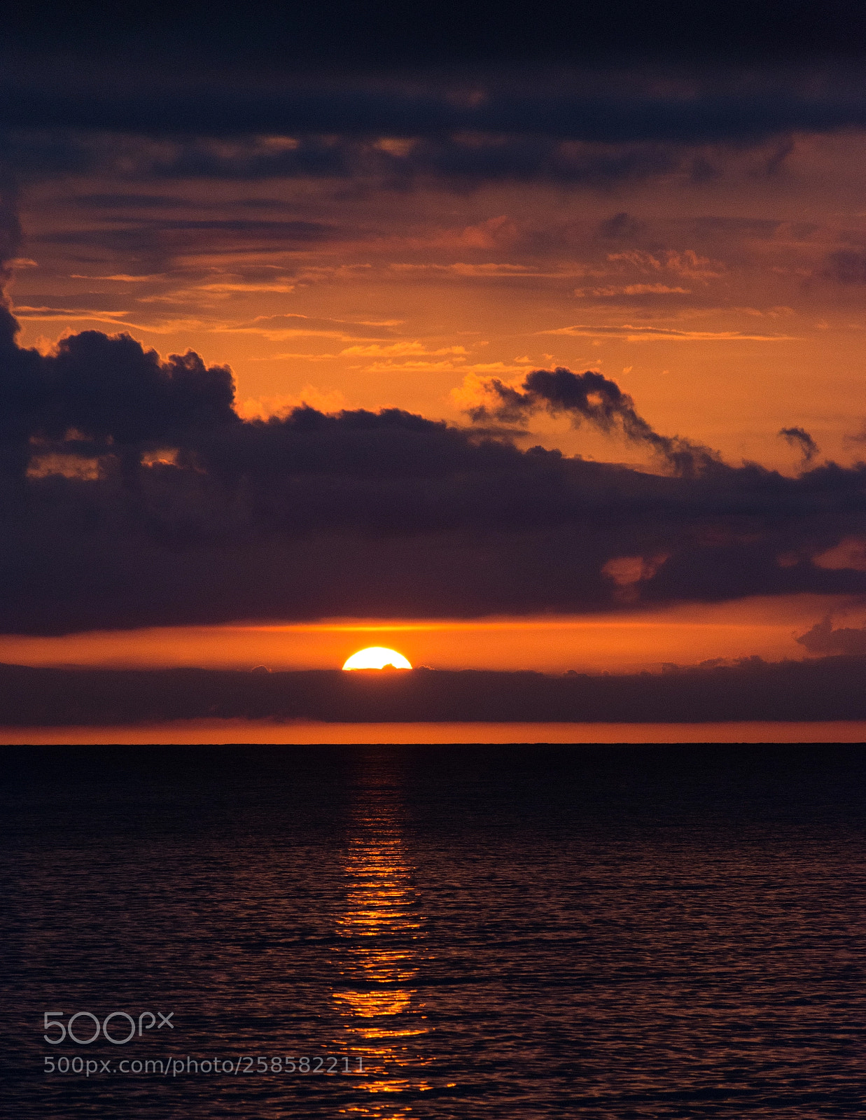 Nikon D7200 sample photo. See you tomorrow photography