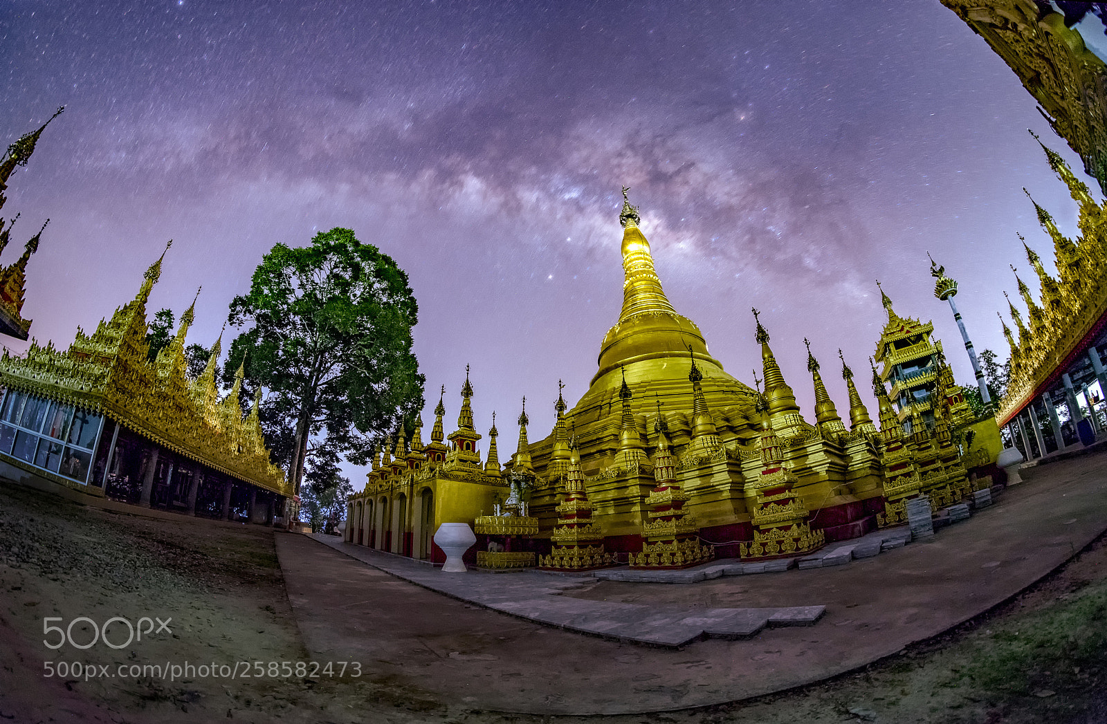 Nikon D750 sample photo. Milky way over pagoda photography