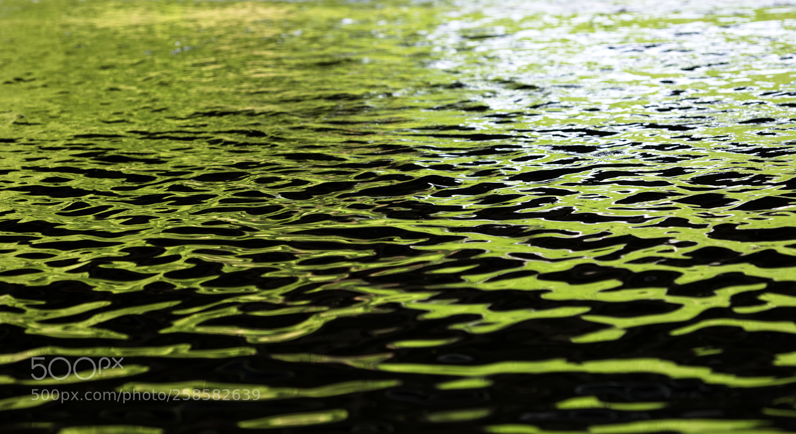 Nikon D750 sample photo. Water under the bridge photography