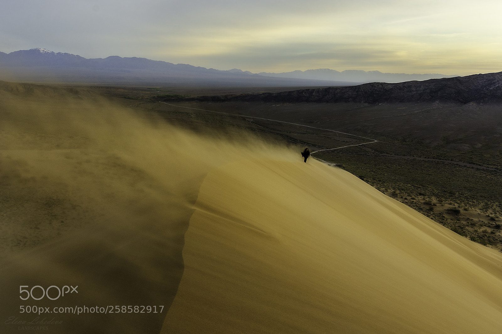 Nikon D7000 sample photo. Through the sandstorm photography