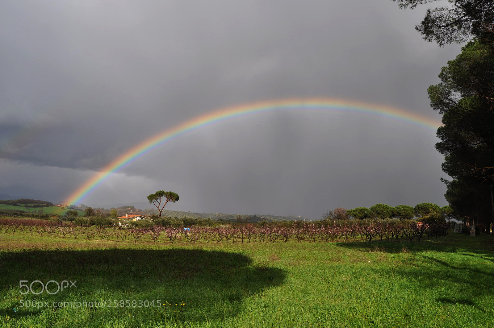 Nikon D5000 sample photo. Campagna sabina photography