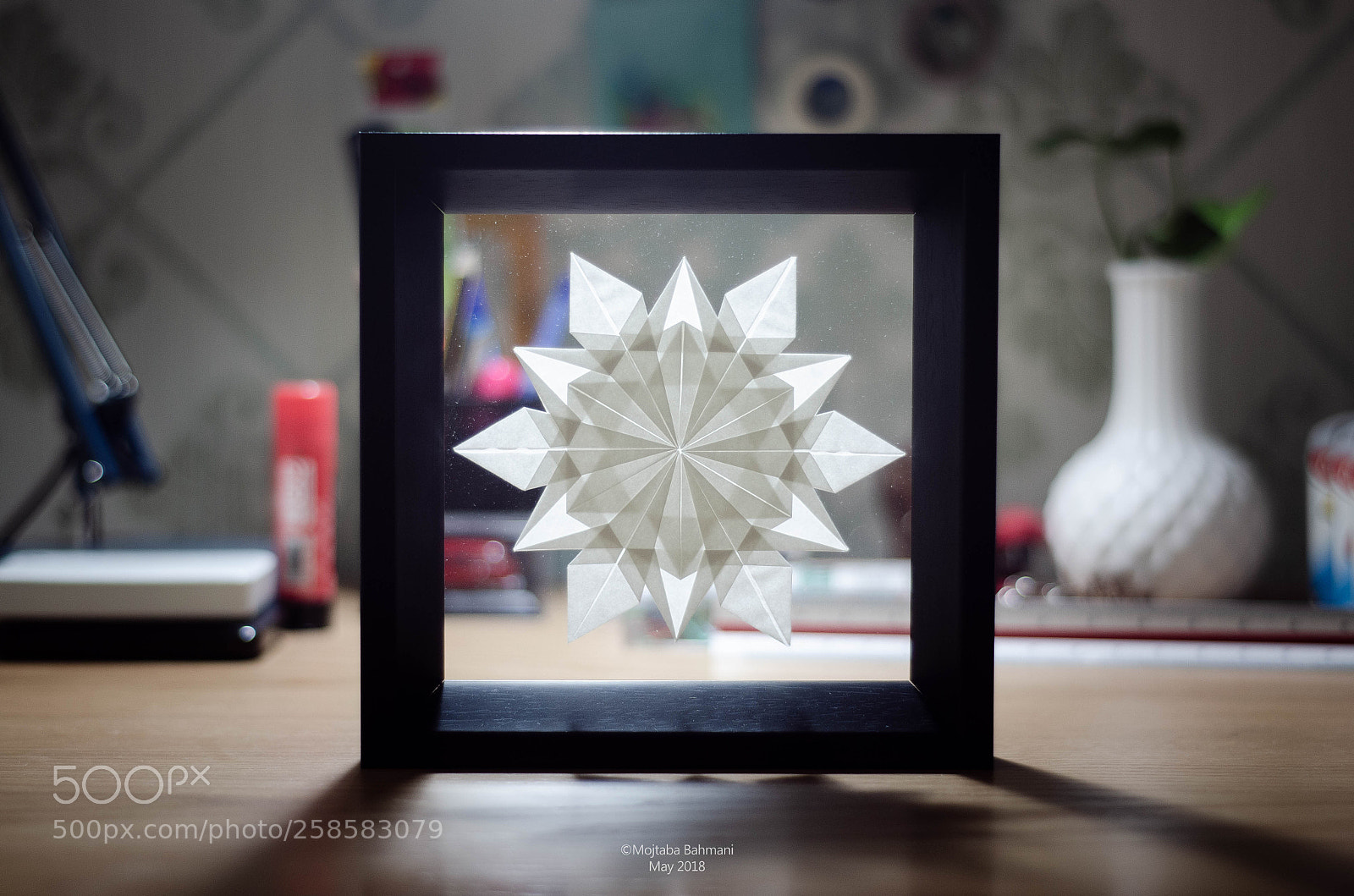 Nikon D5100 sample photo. Snowflake photography