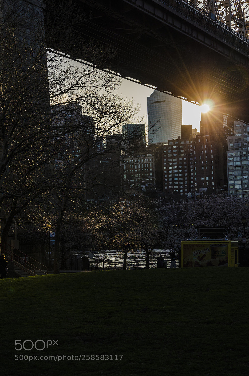 Nikon D7000 sample photo. Roosevelt island sunset photography