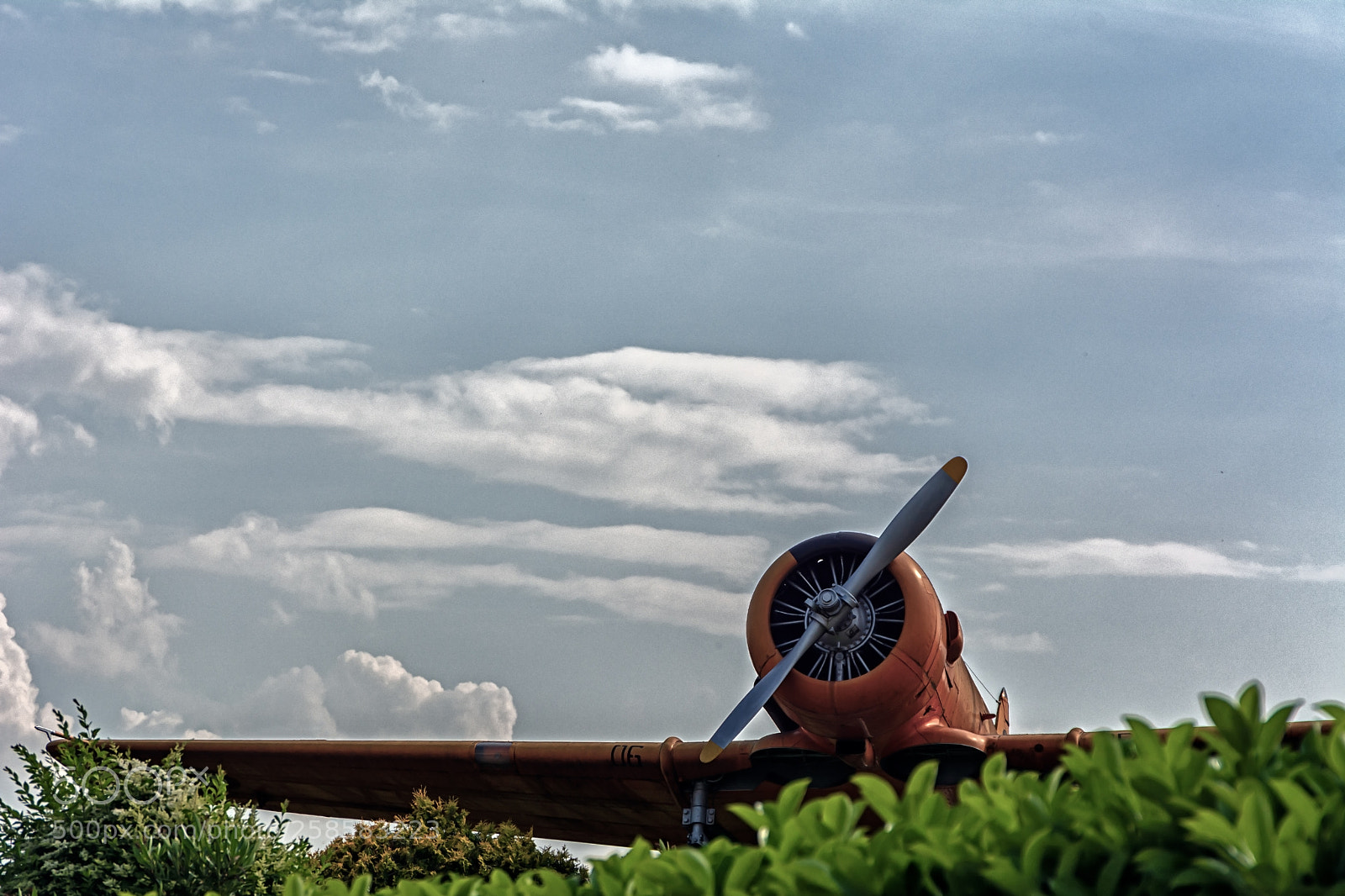 Nikon D7100 sample photo. Take off photography