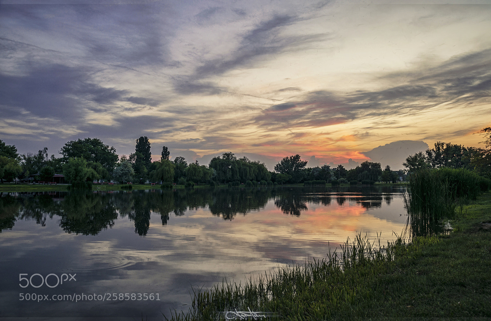 Nikon D5300 sample photo. Sunset photography