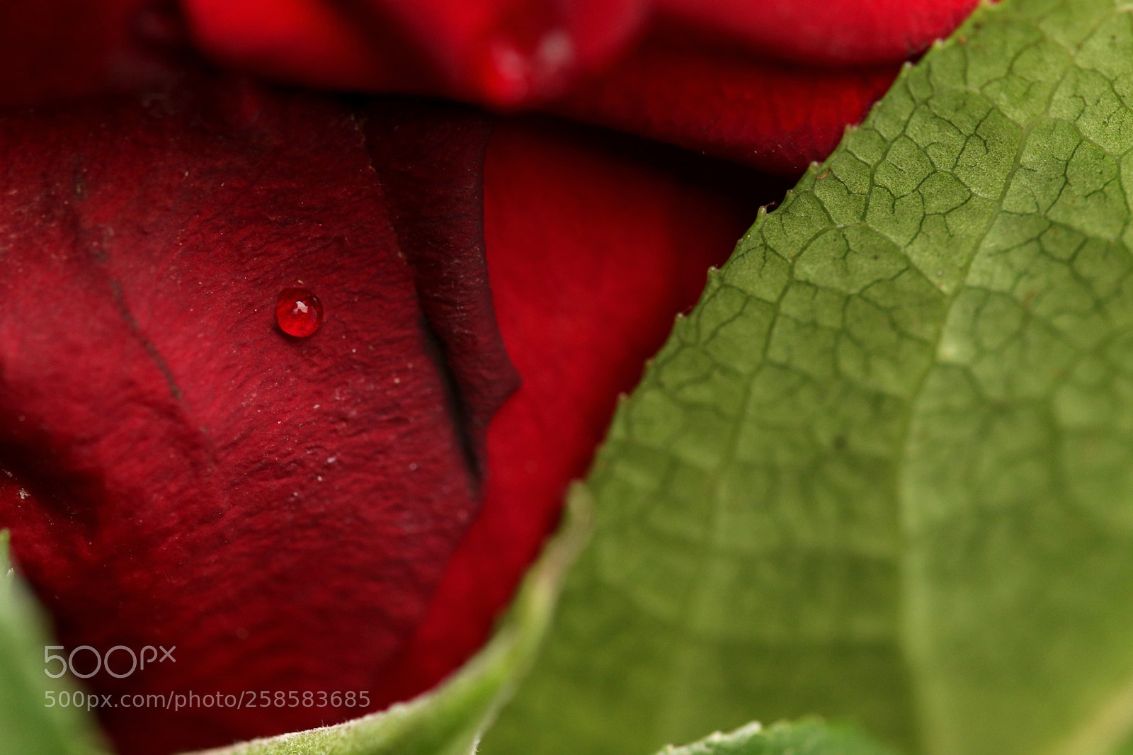 Canon EOS 77D (EOS 9000D / EOS 770D) sample photo. H2o iii photography