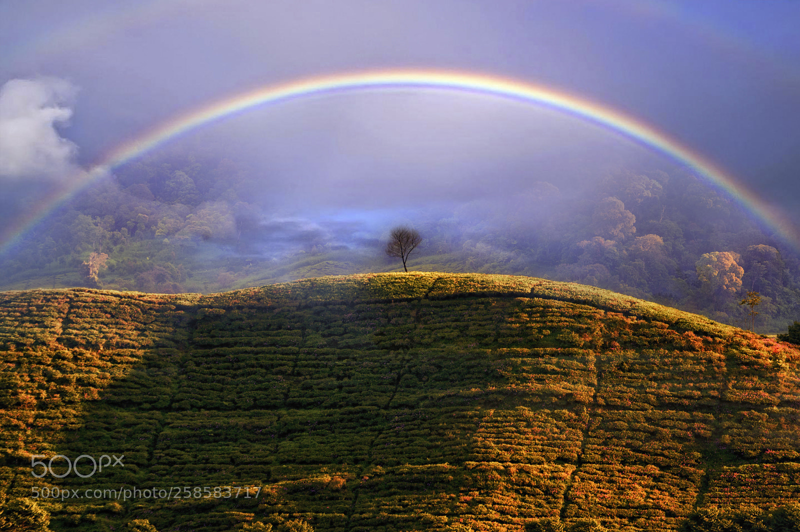Nikon D3200 sample photo. Misty rainbow photography