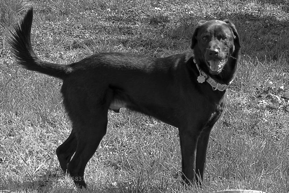 Nikon D500 sample photo. Jake photography
