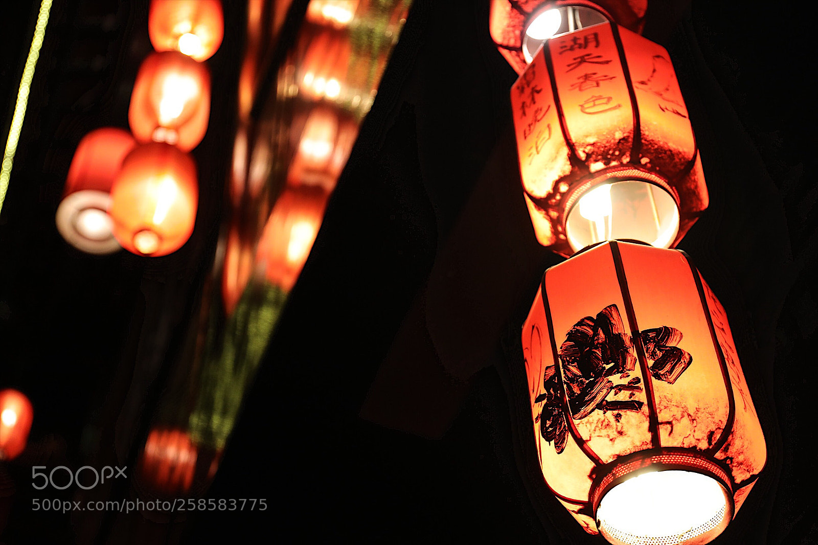 Canon EOS 5D Mark IV sample photo. Untitled photography