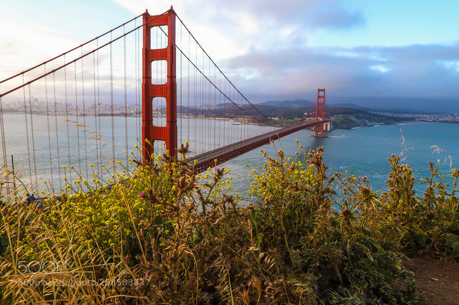 Canon EOS 6D Mark II sample photo. Sunrise at golden gate photography