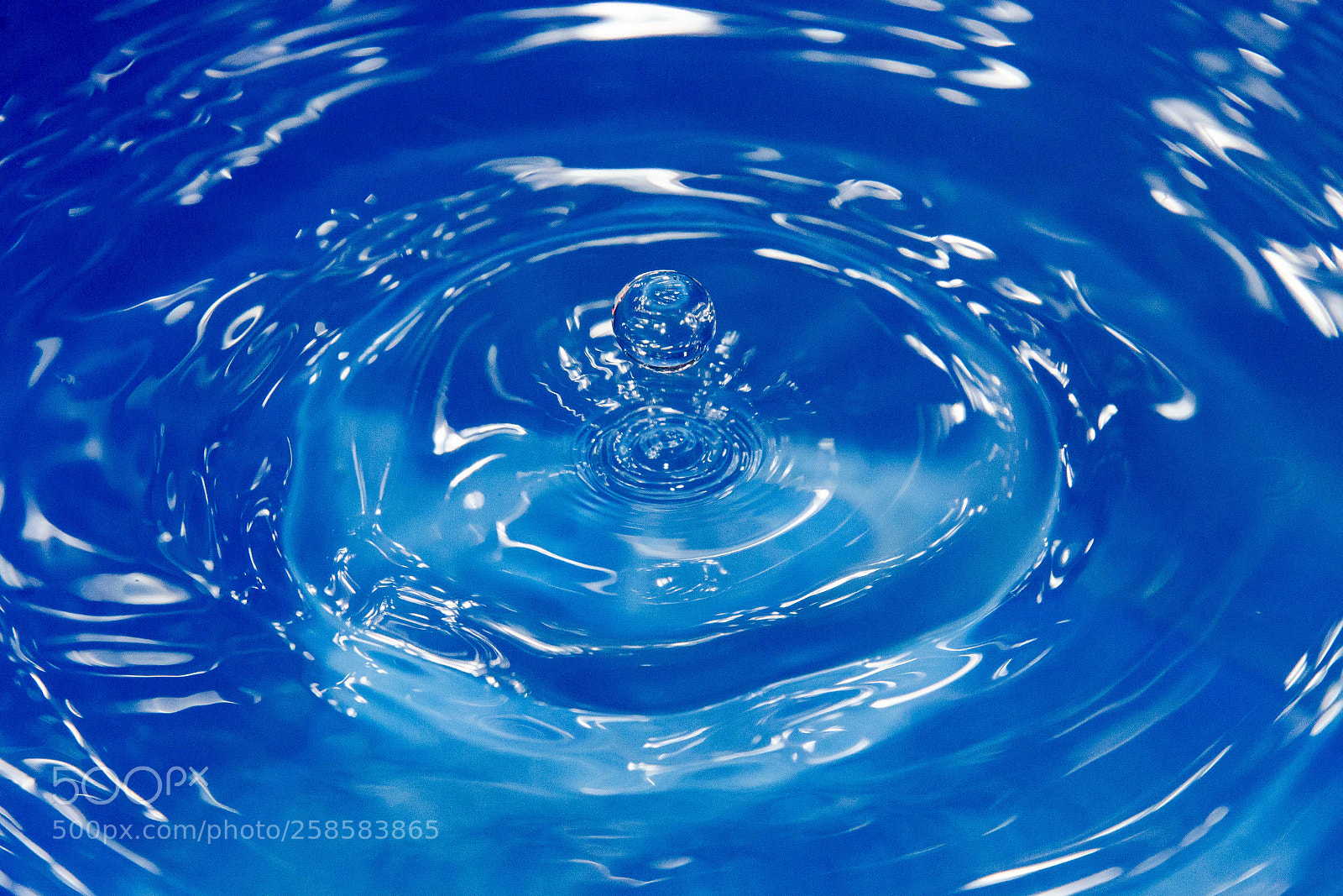 Nikon D7000 sample photo. Little blue earth photography