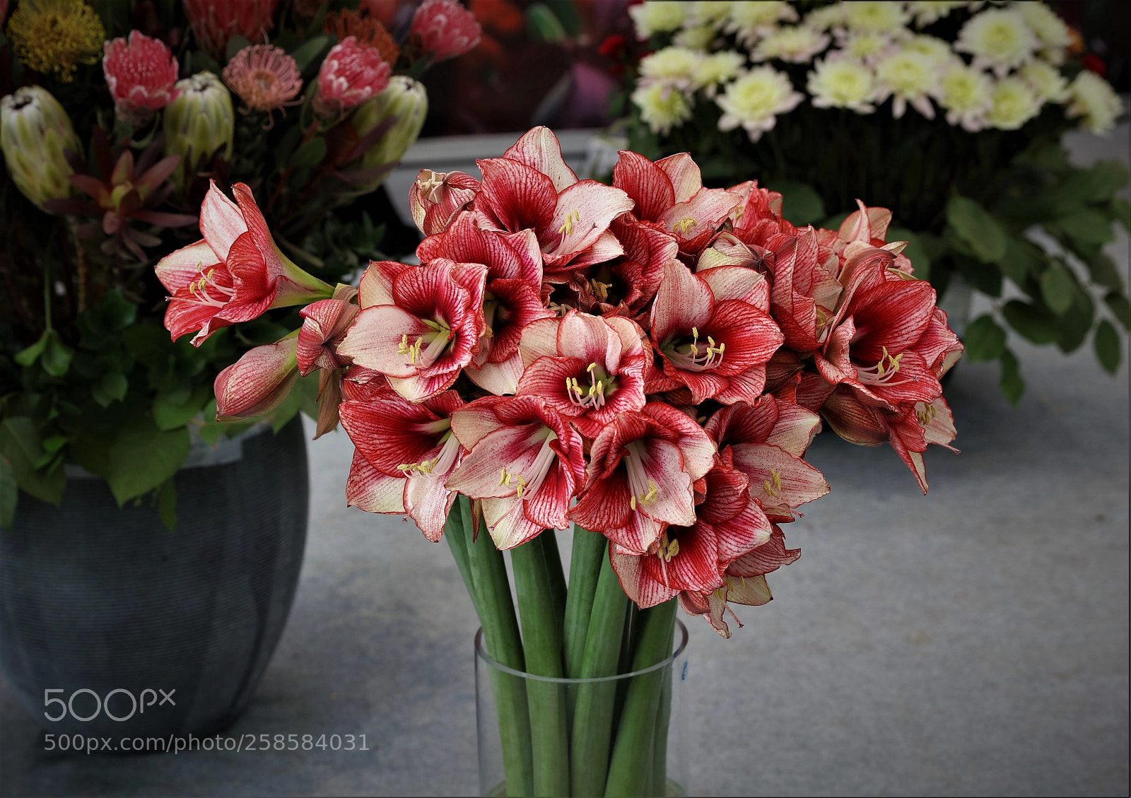 Canon EOS 5DS R sample photo. Flower bouquet photography