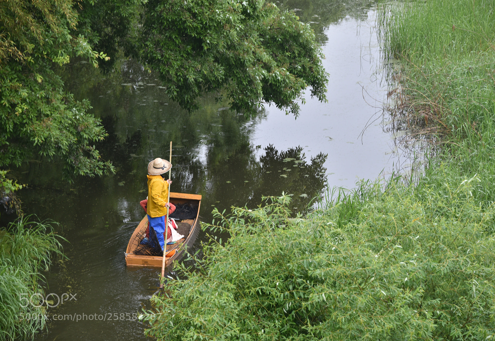 Nikon D750 sample photo. * flow ( iv ) photography