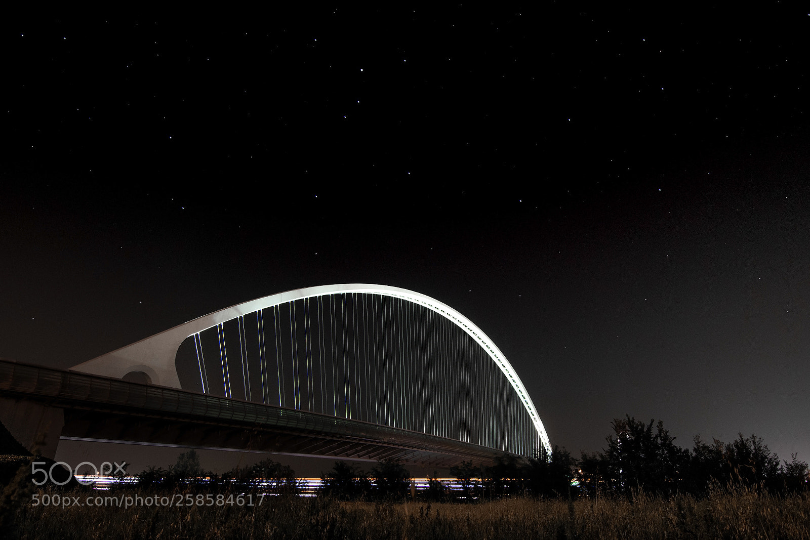 Nikon D7200 sample photo. Calatrava bridge photography