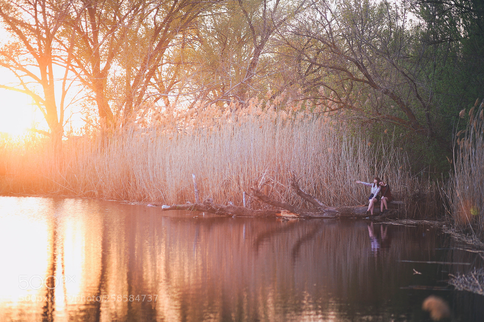 Canon EOS 6D sample photo. Img photography