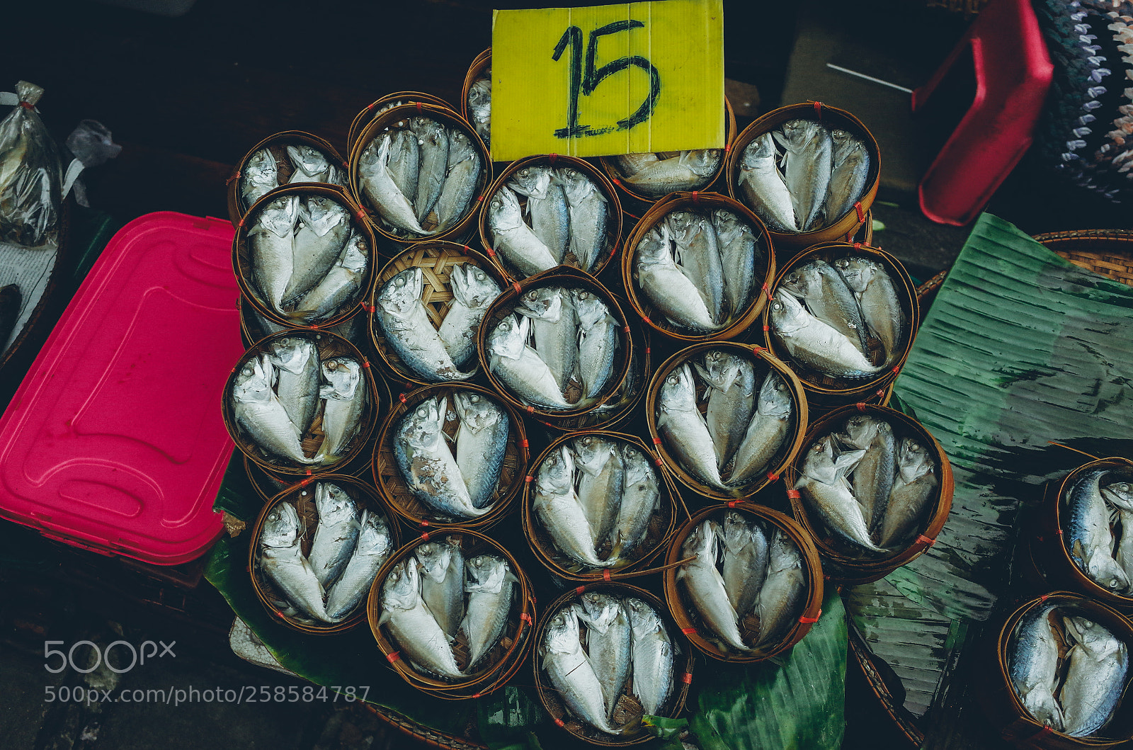 Ricoh GR II sample photo. Fish photography