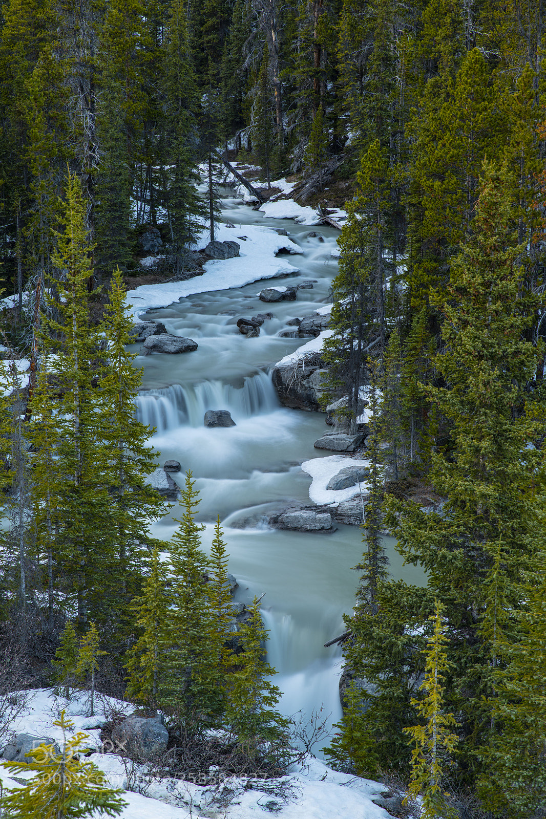 Nikon D850 sample photo. Panther creek-banff national park photography